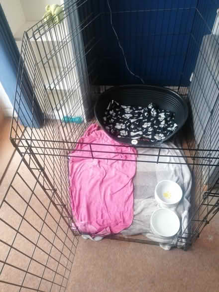 Photo of free Puppy pen (Shoebury) #2