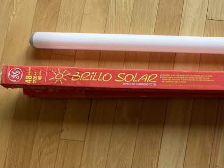 Photo of free Fluorescent tube lights (Hunt Club Park) #1