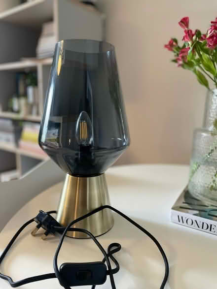 Photo of free Made.com Light (Streatham SW16) #1