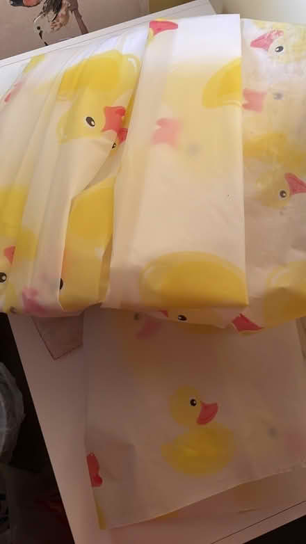 Photo of free Rubber duck shower curtain (SL6 Taplow) #1
