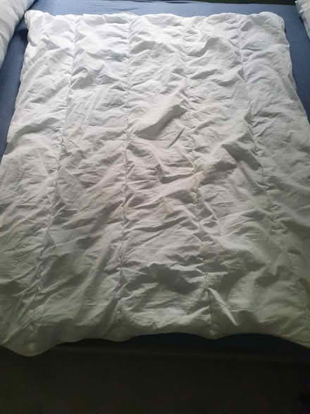 Photo of free Toddler Bedding (Wallington, SM6) #3