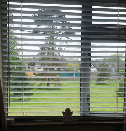 Photo of free Venetian blinds (Blackrock) #1