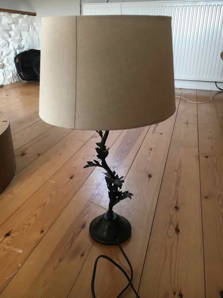 Photo of free Lamp. Working (Salterforth BB18)