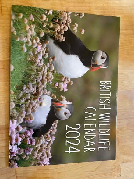 Photo of free New wildlife calendar 2024 (BS6) #1