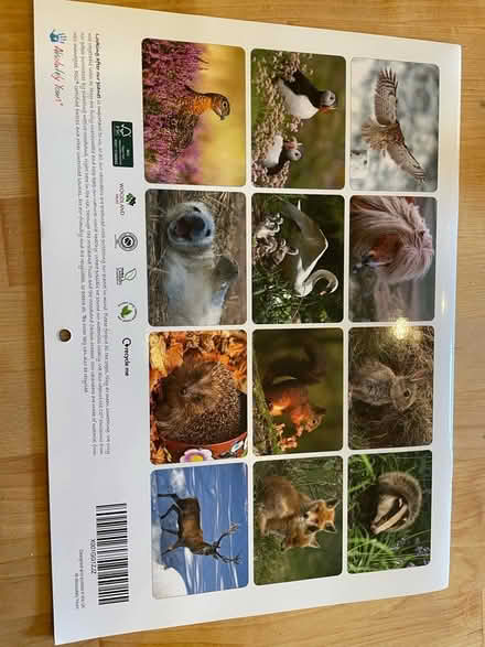 Photo of free New wildlife calendar 2024 (BS6) #2