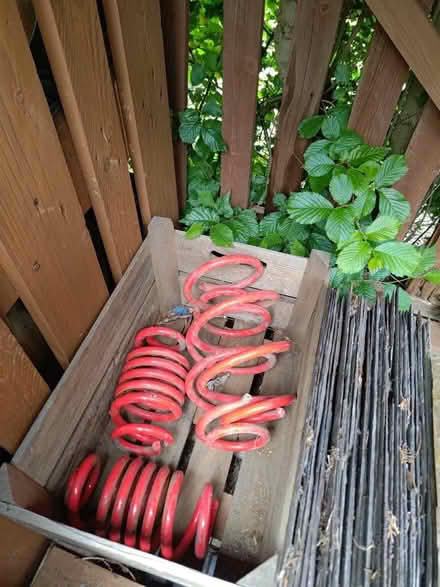 Photo of free Suspension springs T6 (Loughborough LE11) #1