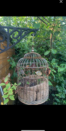 Photo of free Bird cage planter (Coventry CV6) #1