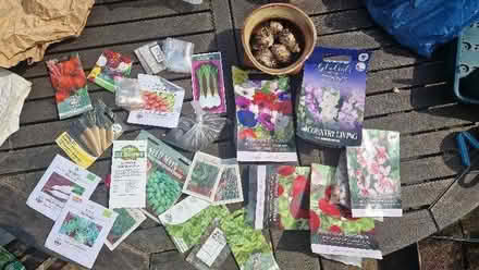 Photo of free Ornamental and vegetable seeds and bulbs (Stroud GL5) #1
