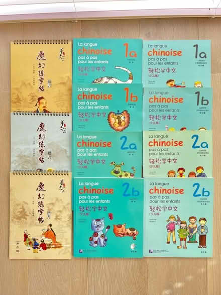 Photo of free Chinese textbooks (in French) (Rathgar) #1