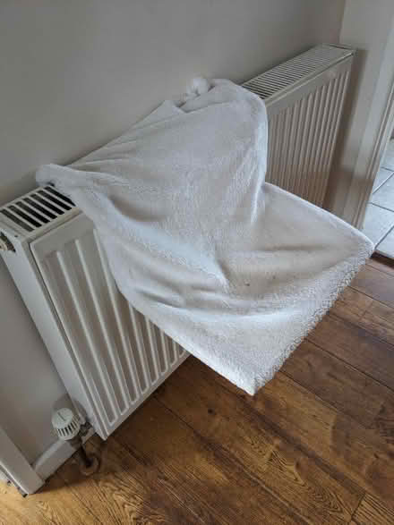 Photo of free Cat Hammock (Southdown) #1