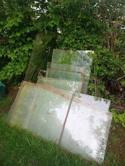 Photo of free Greenhouse glass Dover (Burham) #2
