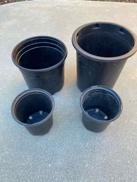 Photo of 1-gallon Nursery Garden Pots (Sunnyvale near Fremont High) #2