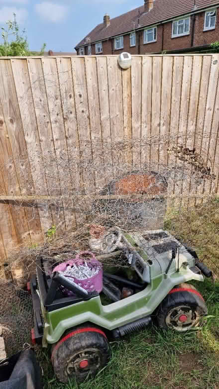 Photo of free Chicken wire and slabs (Queens Park) #1