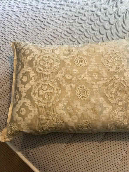 Photo of free Designers Guild Cushion (Streatham SW16) #1