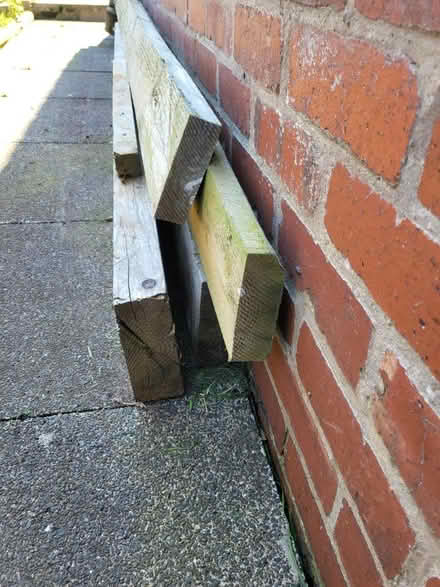 Photo of free Timber (Houghton le spring) #2