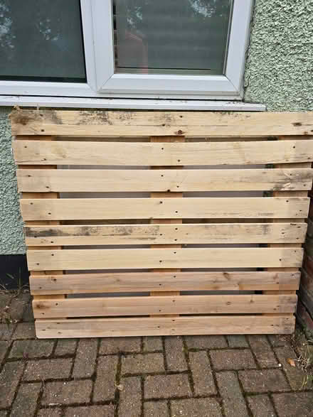Photo of free One Wood Pallet (Chislehurst BR7) #1