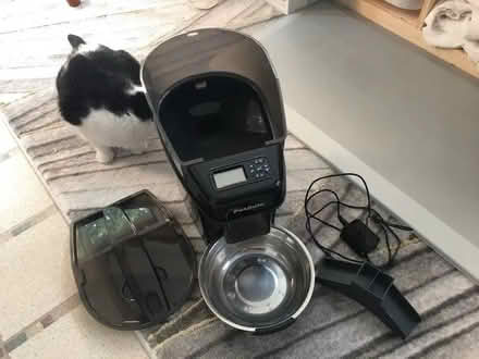 Photo of free PetSafe Automatic Pet Feeder (Southwest St Louis County) #1
