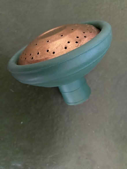 Photo of free Watering Can Replacement Rose (Meppershall SG17) #1