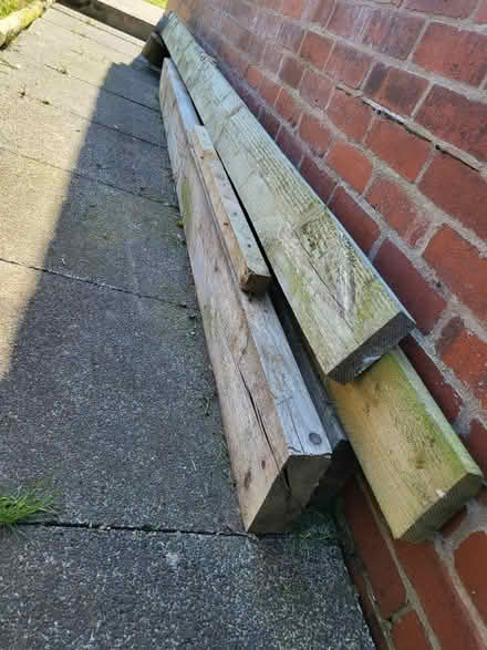Photo of free Timber (Houghton le spring) #3