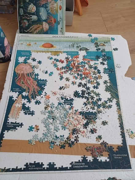 Photo of free 1,000 piece jigsaw (W12) #1