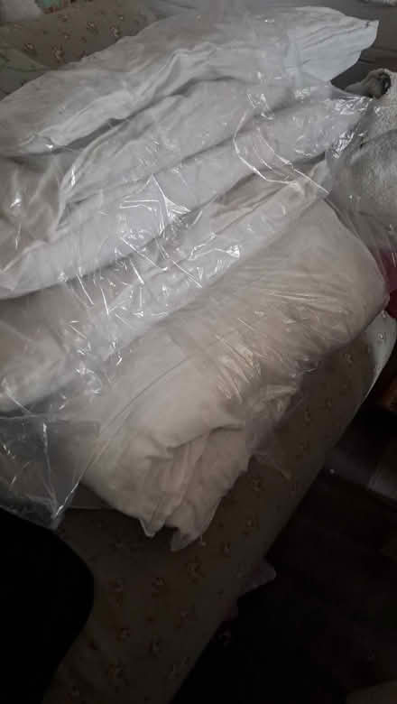 Photo of free 8 used pillows (Nether Edge S7) #1