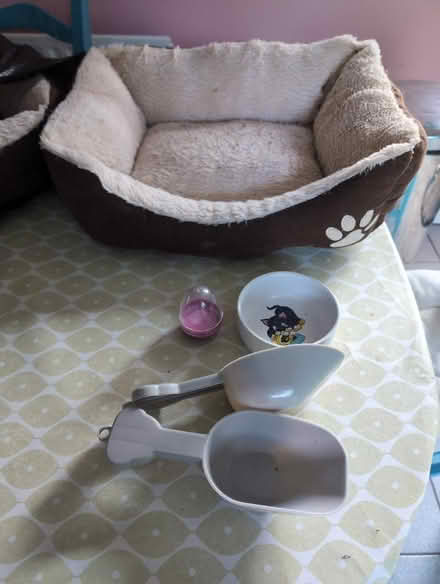 Photo of free 2 cats' beds with extras (Dublin) #2