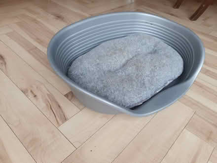 Photo of free dog bed (Dublin sth, Shankill) #1