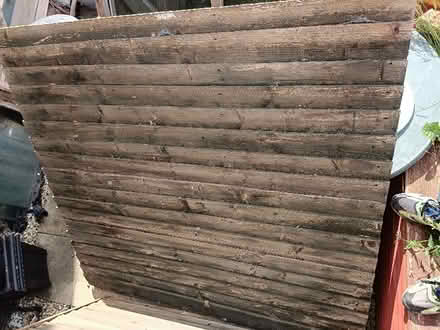 Photo of free Shed Sides x4 Needs repairing (New Penshaw NE38) #3
