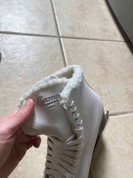 Photo of free Women’s ice skates size 9 (Southwest Oakville) #1