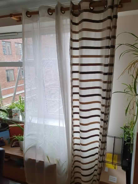 Photo of free Set of 4 curtains (SE1) #1