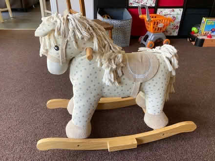 Photo of free Ride on pony (Ware, SG12) #1
