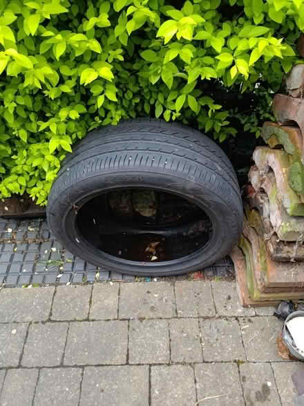 Photo of free Tyre (Loughborough LE11) #1