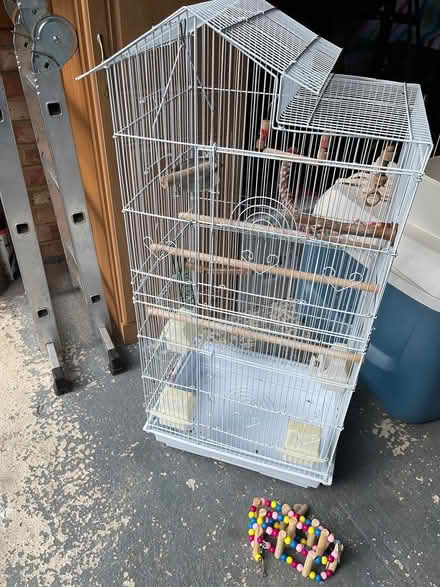 Photo of free Budgies Cage - extra tall (Sandhurst) #1