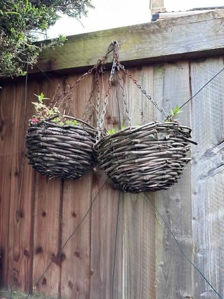 Photo of free Two hanging baskets (Peasedown St John) #1