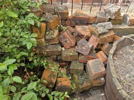 Photo of free Bricks (S11 Broomhall) #1