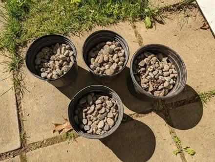 Photo of free 4 one gallon buckets of river rocks (Brant and QEW) #1