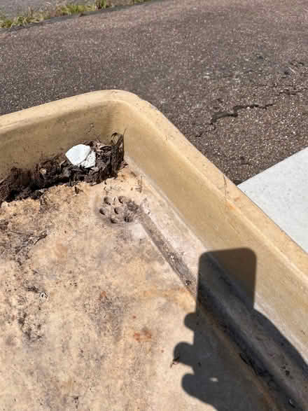 Photo of free Heavy (ceramic?) potting shed sink (Lode, CB25 NorthEast Cambridge) #2