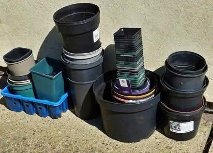 Photo of free Plastic pots (Gunton NR32) #1