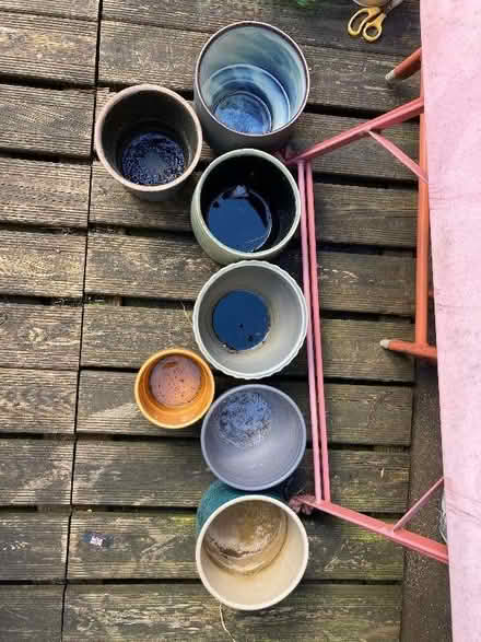Photo of free House plant pots containers (Abbeville Village SW4) #2