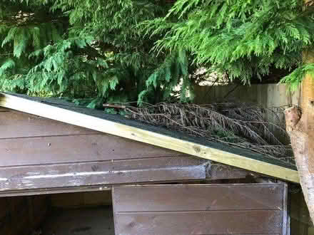 Photo of free 8’ x 12’ Shed (dismantled) (West Malvern, WR14) #4