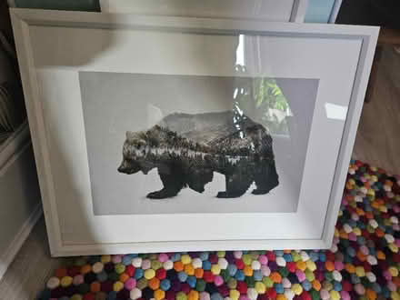 Photo of free Pictures, prints with frames (Hanwell W13) #1