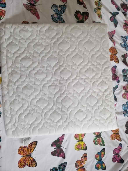 Photo of free Pillow (Headington OX3) #1