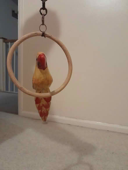 Photo of free 2nd parrot mobile (Melbourn Royston) #1