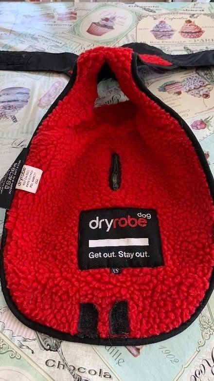 Photo of free Small dog coat (Chelmsford CM1) #3