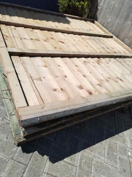 Photo of free Fence panels (Greytree, Ross on wye) #2