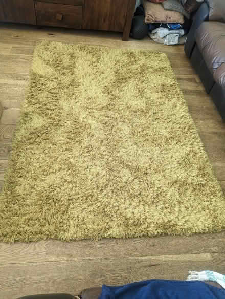 Photo of free Rug (Westcliff in sea SS0) #1