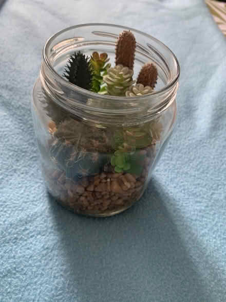 Photo of free Artificial decorations (KT20) #4