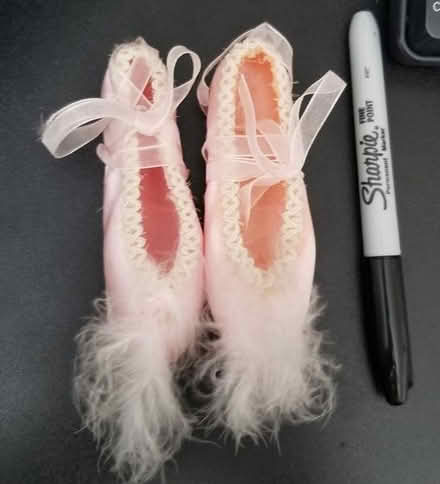 Photo of free Ballet slipper decoration (Barron Park) #1