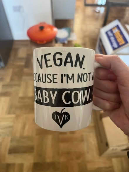 Photo of free vegan slogan mug (Wisewood S6) #1