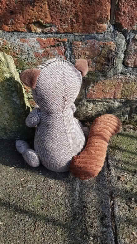 Photo of free Squirrel door stop in need of nose (Orford WA2) #3